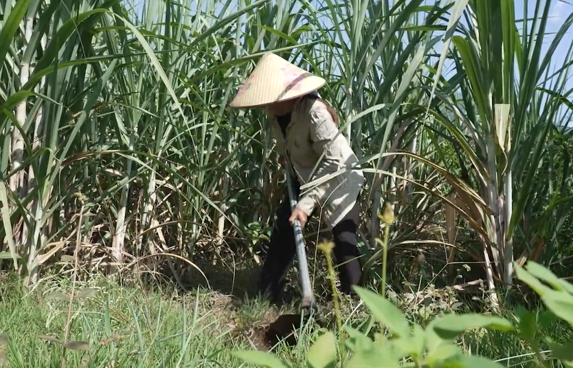 Mái ấm gia đình Việt: Cô gái Raglai nói "Cuộc sống quá bất công" - Ảnh 10.