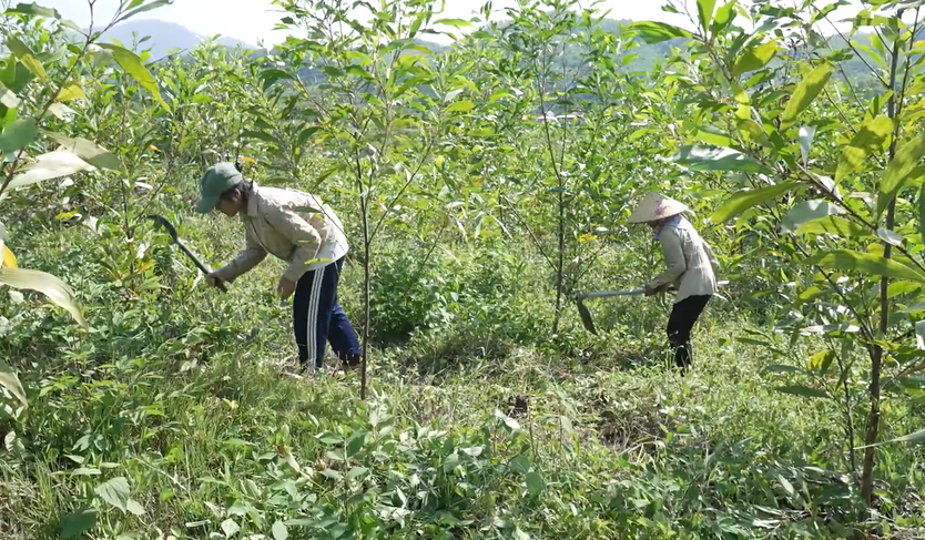 Mái ấm gia đình Việt: Cô gái Raglai nói "Cuộc sống quá bất công" - Ảnh 12.