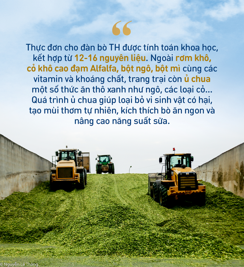 Những điểm nhấn làm nên chất lượng hàng đầu của sữa tươi sạch TH true MILK - Ảnh 3.