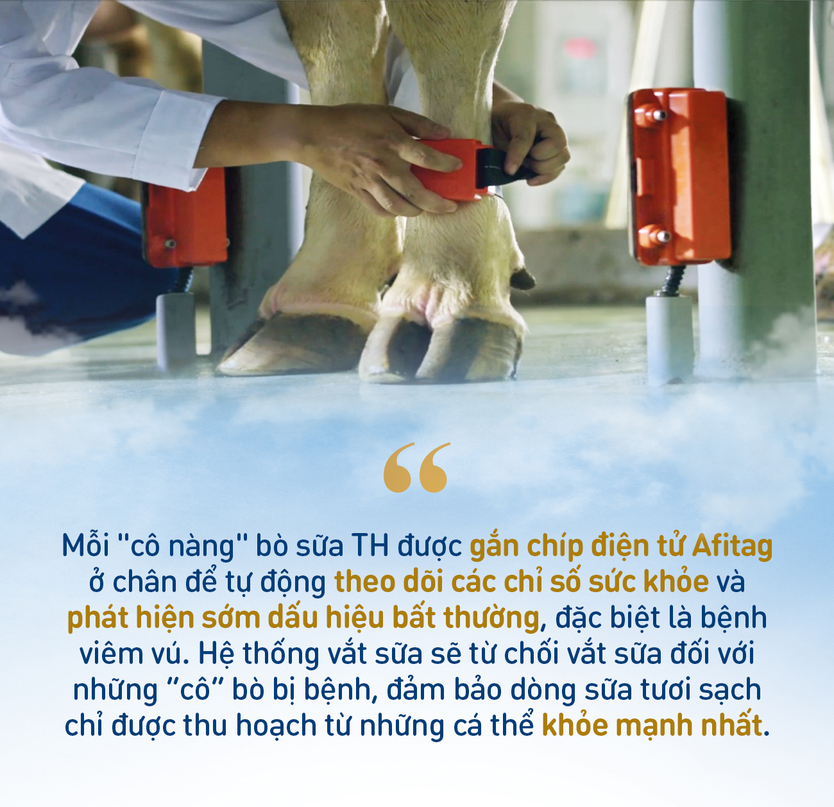 Những điểm nhấn làm nên chất lượng hàng đầu của sữa tươi sạch TH true MILK - Ảnh 5.