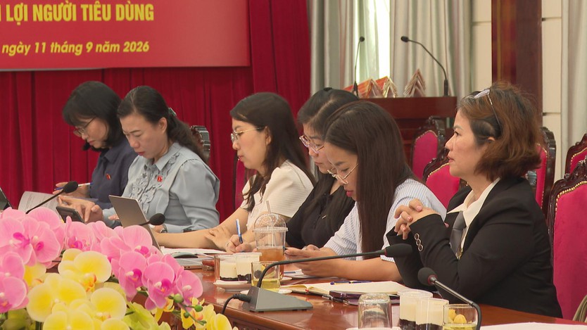 TP. Hồ Chí Minh: Lấy ý kiến dự thảo Luật Phát triển doanh nghiệp nhỏ và vừa- Ảnh 2.