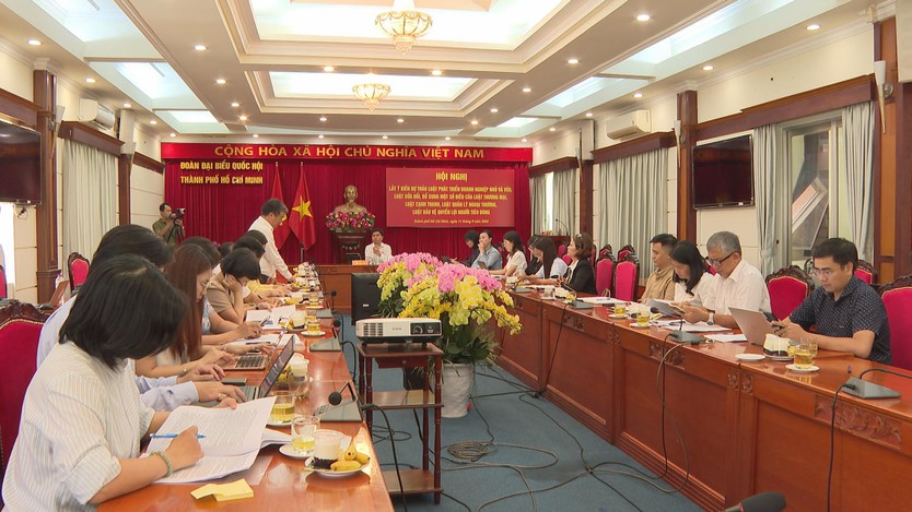 TP. Hồ Chí Minh: Lấy ý kiến dự thảo Luật Phát triển doanh nghiệp nhỏ và vừa- Ảnh 1.