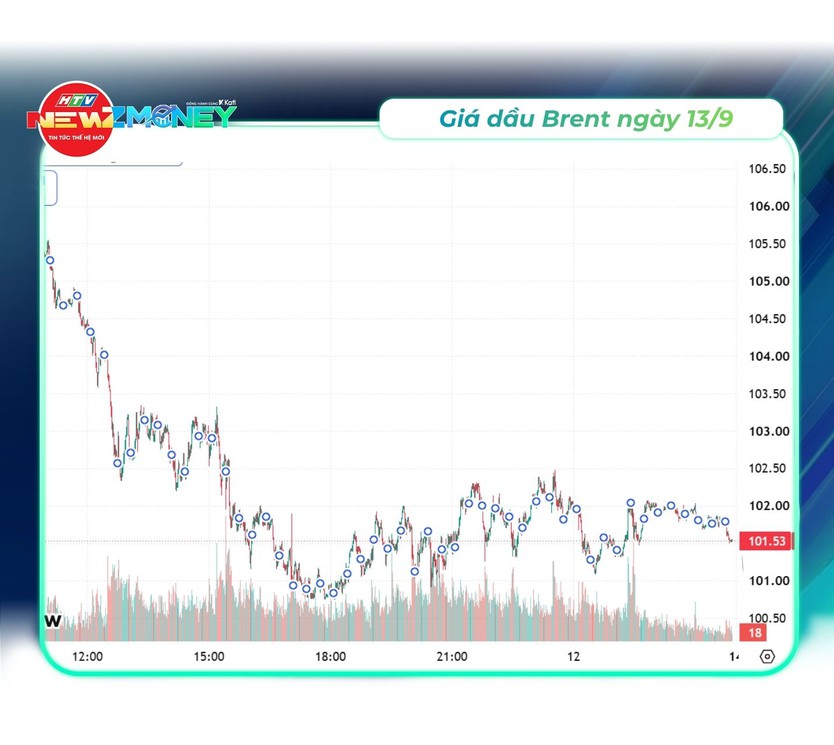 NewZMoney - Bắt sóng thị trường 13/9: Vàng bật tăng trở lại, giá dầu thế giới vượt 100 USD/thùng- Ảnh 2.