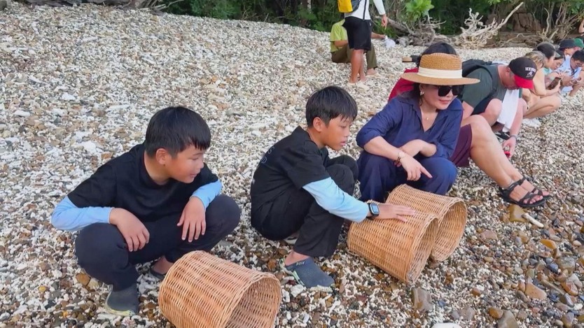 Thả rùa con về biển: Trải nghiệm du lịch sinh thái tại Côn Đảo  - Ảnh 4.