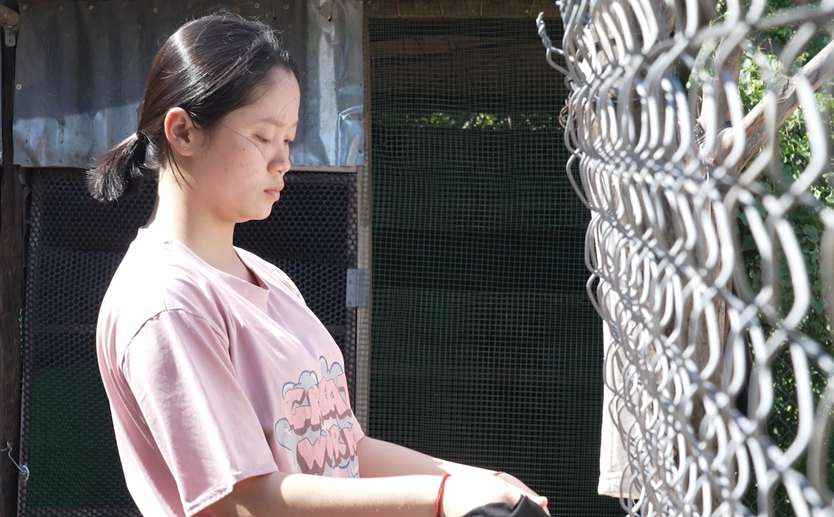 Mái ấm gia đình Việt: Không có cha mẹ, cô bé tự lập sau khi bà mất - Ảnh 1.