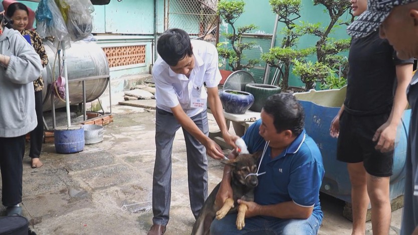 TP. Hồ Chí Minh chủ động phòng, chống dịch bệnh trên vật nuôi - Ảnh 2.