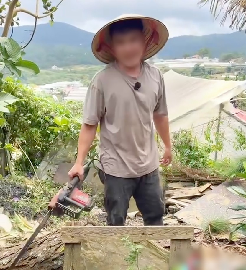 Phường Xuân Hương - Đà Lạt lý giải việc xử phạt 35 triệu với người chặt cây thông tại vườn nhà - Ảnh 2.
