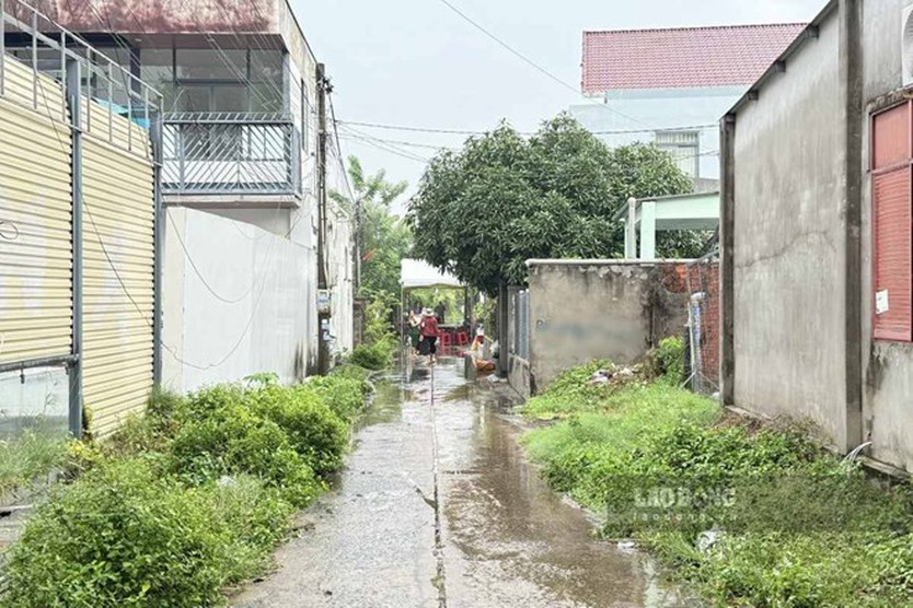 Bắt nghi phạm trong vụ án mạng khiến 3 người thương vong ở TP. Hồ Chí Minh - Ảnh 1.