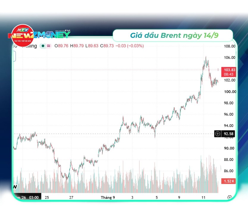NewZMoney - Bắt sóng thị trường 14/9: Chủ đề VN-Index thủng mốc 1.800 điểm- Ảnh 3.