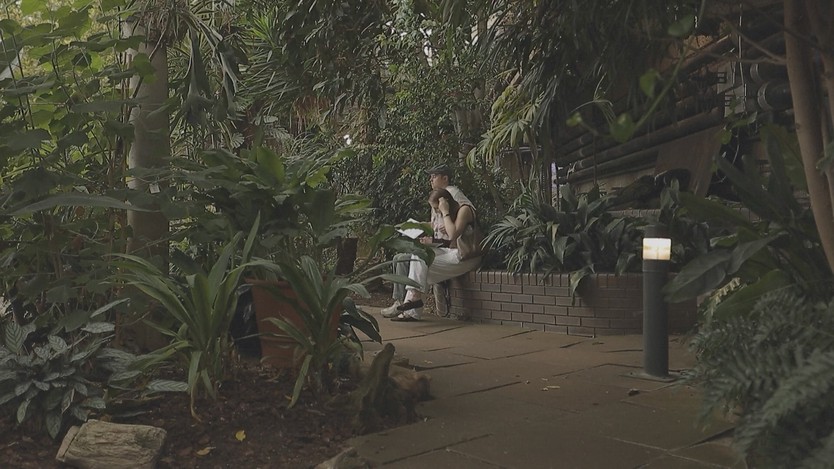 Anh: Nhà kính Barbican tặng cây giống trước đợt trùng tu - Ảnh 6.