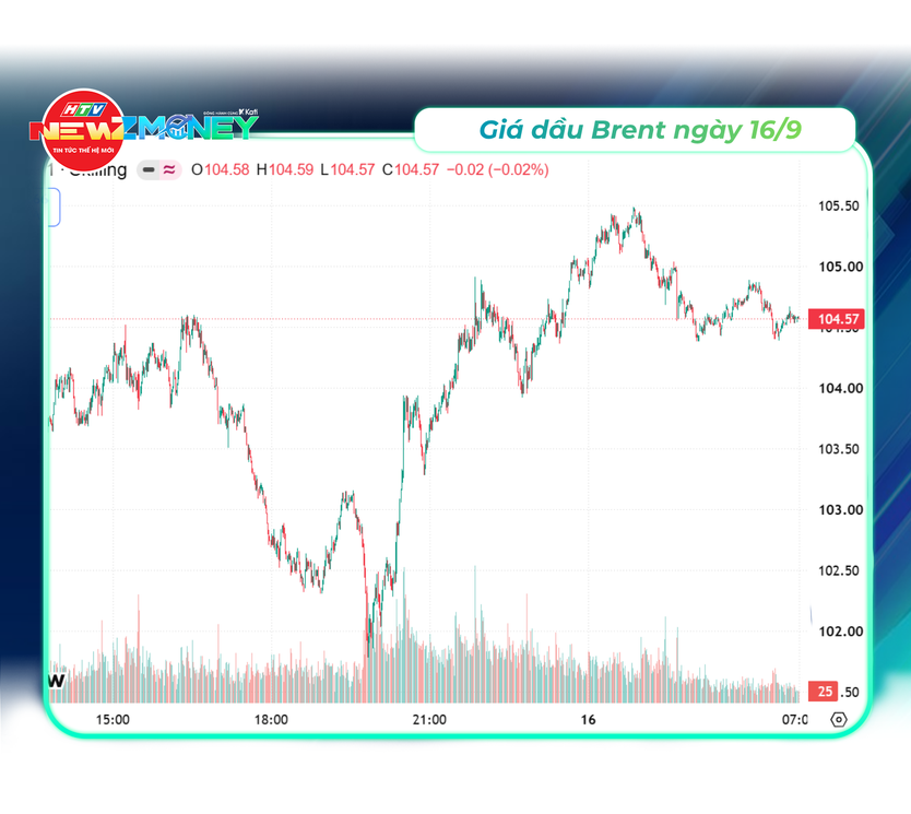 NewZMoney - Bắt sóng thị trường 16/9: VN-Index bứt phá lấy lại mốc 1.800 điểm, giá vàng giảm, giá dầu tăng vọt - Ảnh 5.
