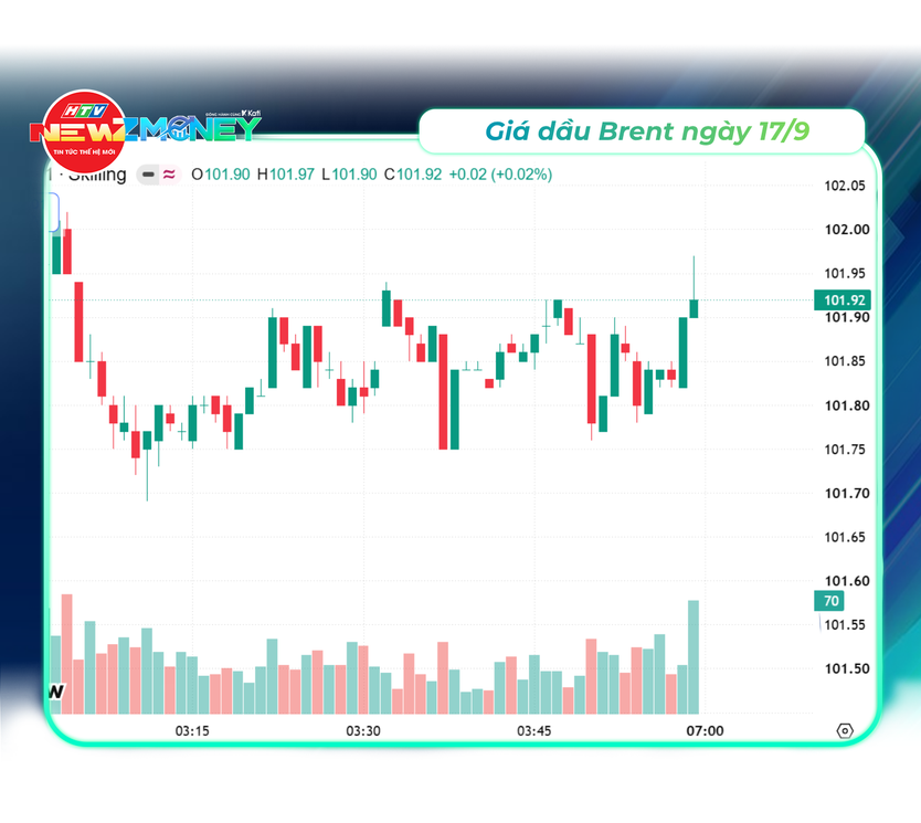 NewZMoney - Bắt sóng thị trường 17/9: VN-Index giằng co quanh mốc 1.800 điểm, Phố Wall giảm điểm chờ tin Fed - Ảnh 4.