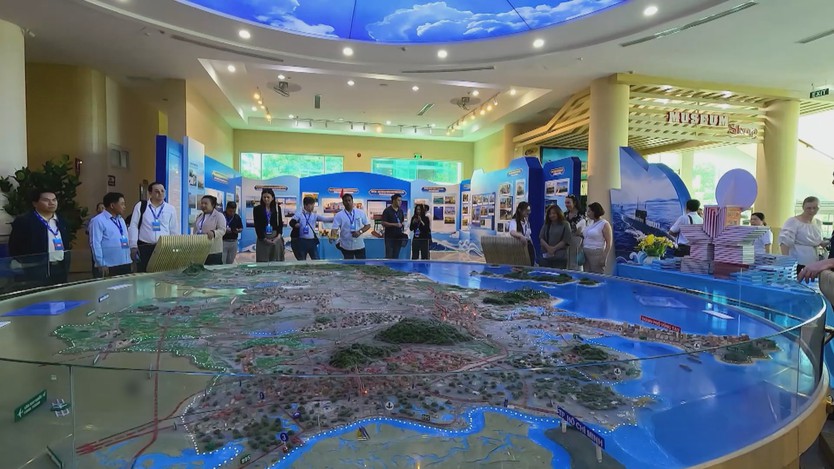 TP. Hồ Chí Minh kết nối nguồn lực kiều bào - Ảnh 8.