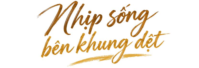 Làng chiếu Long Định – giữ nghề qua từng sợi cói - Ảnh 8.