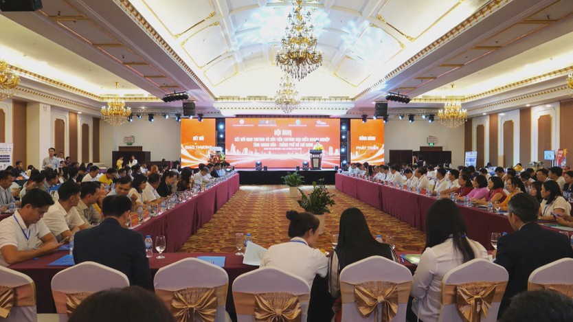 Thanh Hóa và TP. Hồ Chí Minh mở rộng kết nối, tìm kiếm cơ hội hợp tác đầu tư, thương mại- Ảnh 1.