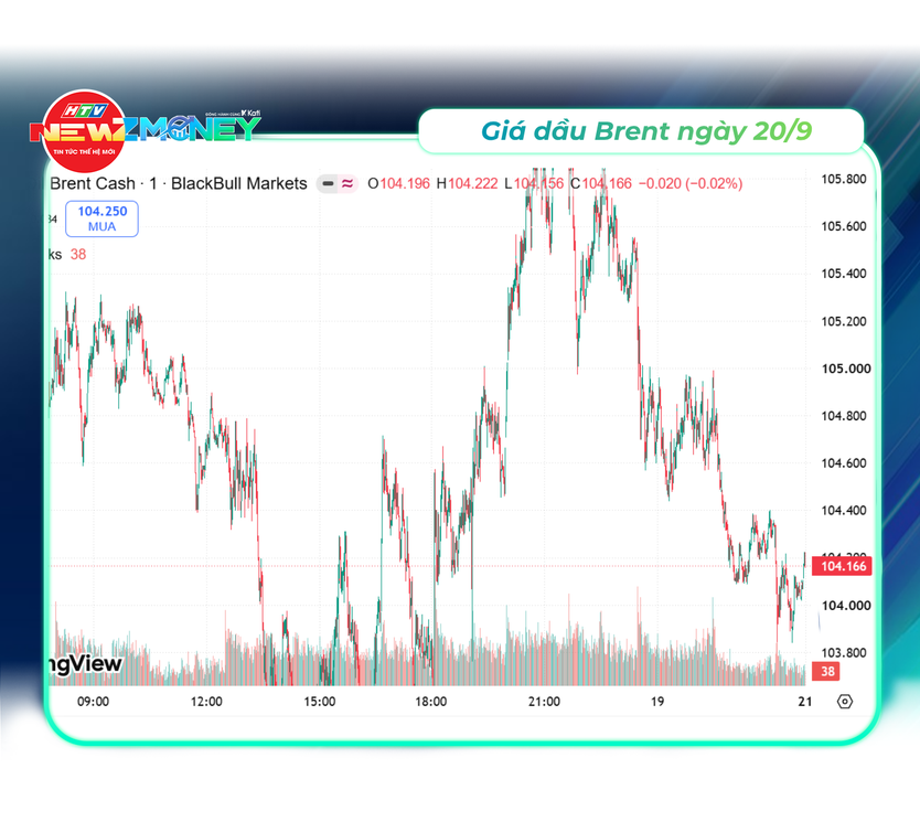 NewZMoney - Bắt sóng thị trường 20/9: Giá vàng đi ngang, xăng dầu neo cao - Ảnh 4.
