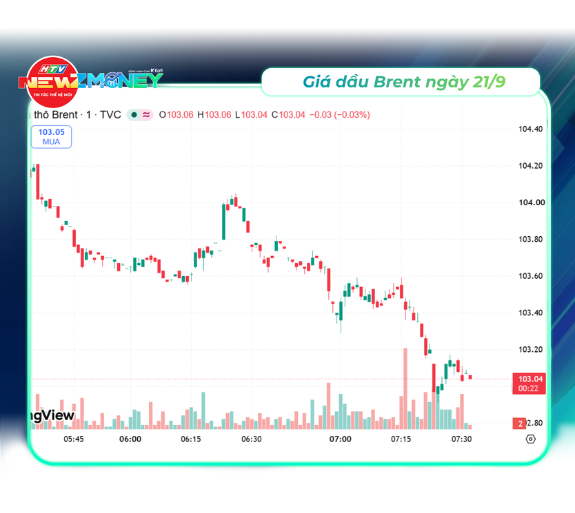 NewZMoney - Bắt sóng thị trường 21/9/2026: VN-Index đảo chiều giảm nhẹ ngày FTSE Russell nâng hạng - Ảnh 4.