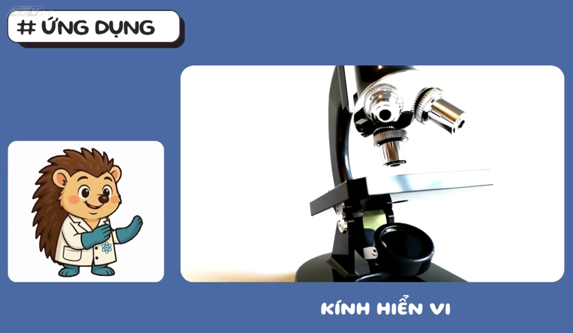 Góc nhỏ kỳ diệu: Làm kẹp sách hình con bướm - Ảnh 10.