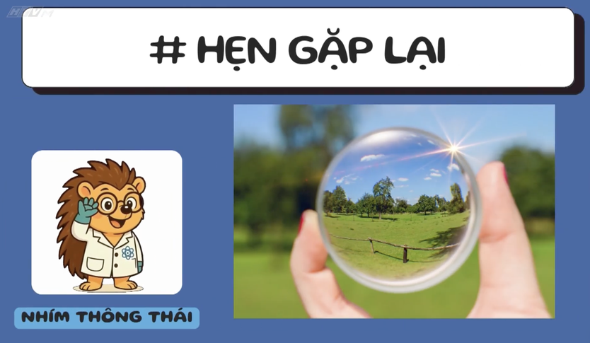 Góc nhỏ kỳ diệu: Làm kẹp sách hình con bướm - Ảnh 13.