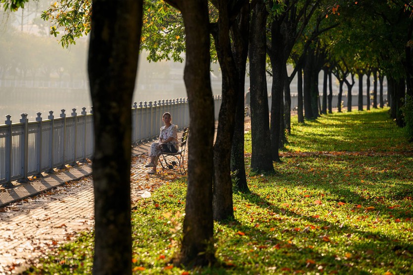 Bất ngờ có “mùa thu” tại TP. Hồ Chí Minh: giới trẻ rủ nhau săn lá vàng trên con đường ven kênh - Ảnh 4.