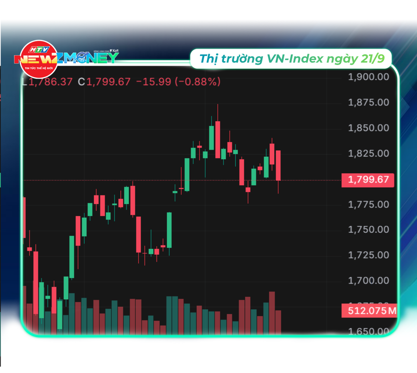 Thị trường chứng khoán Việt Nam ngày đầu nâng hạng tăng, giảm thế nào? | NewZMoney - Ảnh 1.