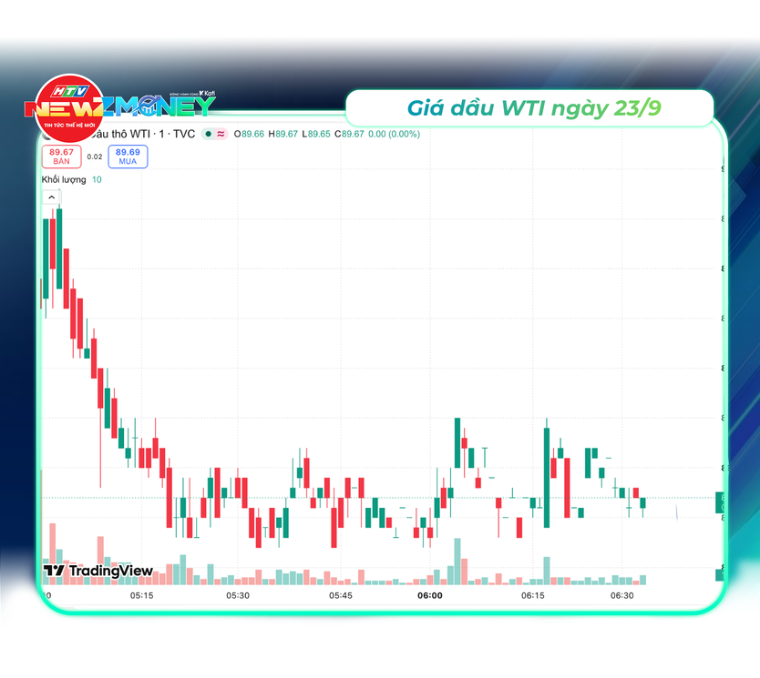 NewZMoney - Bắt sóng thị trường 22/9: VN-Index kéo về mốc 1.800 điểm sau đợt giảm đầu tuần nâng hạng - Ảnh 4.