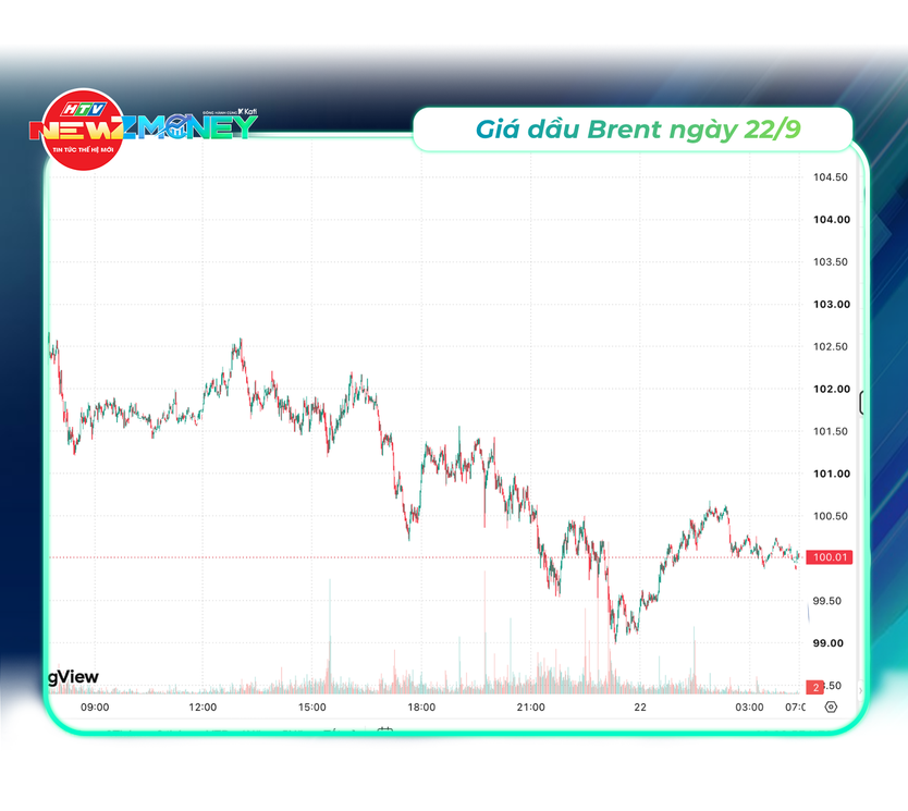 NewZMoney - Bắt sóng thị trường 22/9: Giá vàng giảm 1 triệu đồng/lượng, VN-Index mất mốc 1.800 điểm - Ảnh 4.