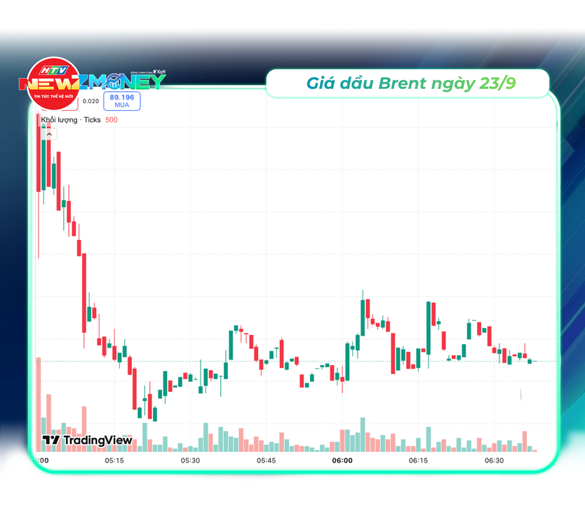 NewZMoney - Bắt sóng thị trường 22/9: VN-Index kéo về mốc 1.800 điểm sau đợt giảm đầu tuần nâng hạng - Ảnh 5.