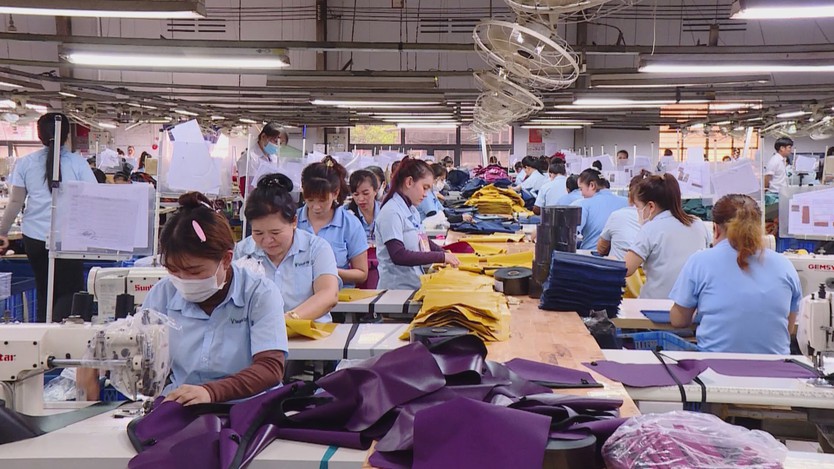 Tiếp sức người lao động trở lại thị trường - Ảnh 6.