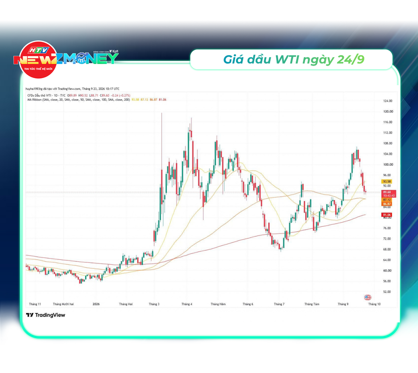 NewZMoney - Bắt sóng thị trường ngày 24/9/2026: VN-Index giảm nhẹ, áp lực bán gia tăng cuối phiên - Ảnh 4.