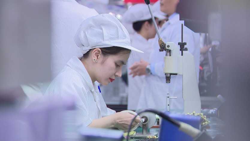 Doanh nghiệp xuất nhập khẩu chủ động chuyển đổi xanh và số hóa để giữ vững vị thế quốc tế - Ảnh 3.