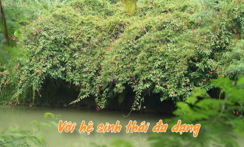 Suối Rao Ecolodge: 18 năm gieo mầm xanh giữa thiên nhiên | Hẹn hò với chính mình - Ảnh 2.