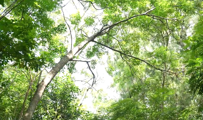 Suối Rao Ecolodge: 18 năm gieo mầm xanh giữa thiên nhiên | Hẹn hò với chính mình - Ảnh 8.