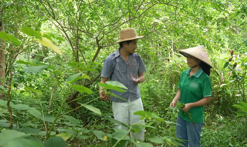 Suối Rao Ecolodge: 18 năm gieo mầm xanh giữa thiên nhiên | Hẹn hò với chính mình - Ảnh 6.