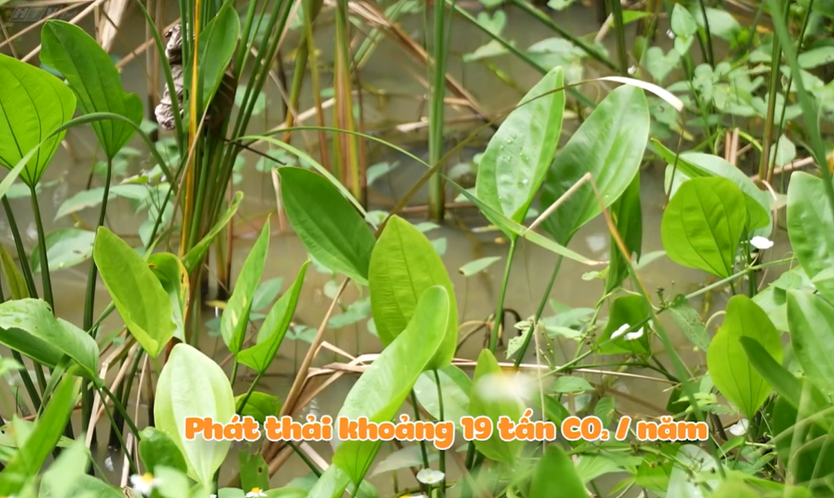 Suối Rao Ecolodge: 18 năm gieo mầm xanh giữa thiên nhiên | Hẹn hò với chính mình - Ảnh 15.