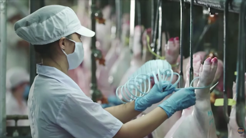 Tick xanh trách nhiệm: Tăng kiểm soát chất lượng, minh bạch chuỗi cung ứng - Ảnh 3.