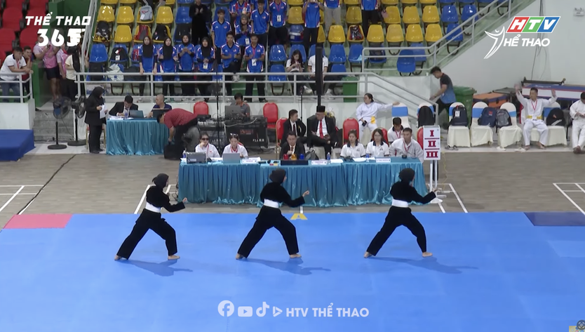 Khai mạc Giải vô địch Pencak Silat Đông Nam Á 2026 tại TP. Hồ Chí Minh- Ảnh 6.