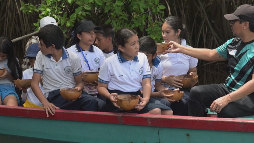 Guatemala: Nhân giống và bảo tồn loài cá láng nhiệt đới- Ảnh 1.