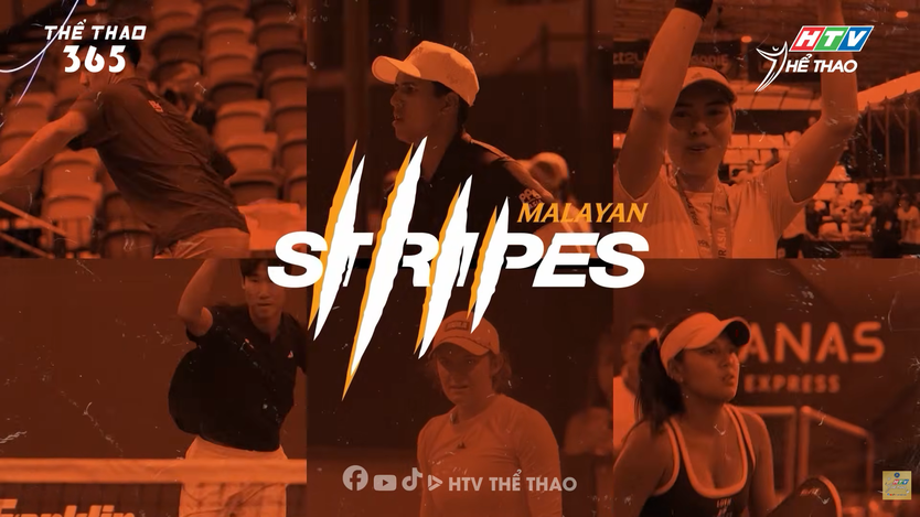 Ra mắt đội hình đại diện Việt Nam tham dự giải Pickleball MLB Châu Á - Ảnh 6.