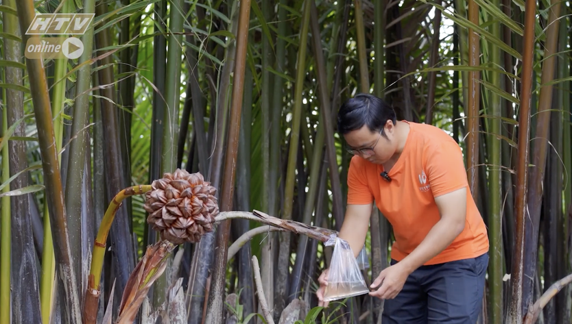 Phạm Minh Tiến - Mật ngọt từ hành trình khởi nghiệp xanh - Ảnh 12.