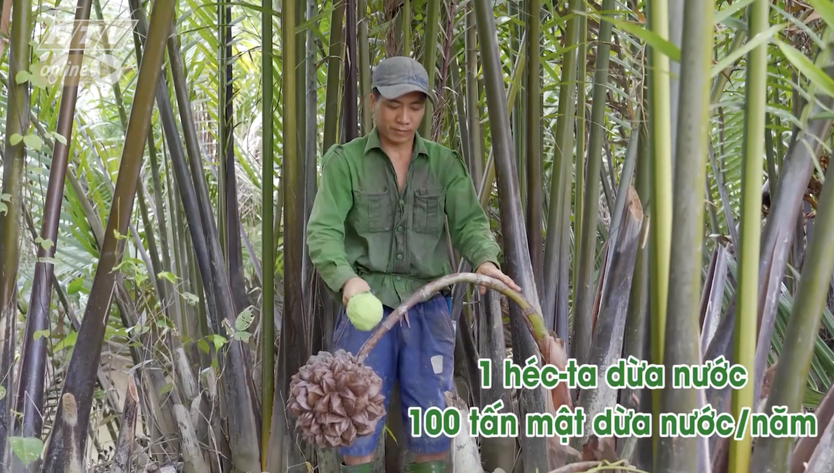 Phạm Minh Tiến - Mật ngọt từ hành trình khởi nghiệp xanh - Ảnh 17.