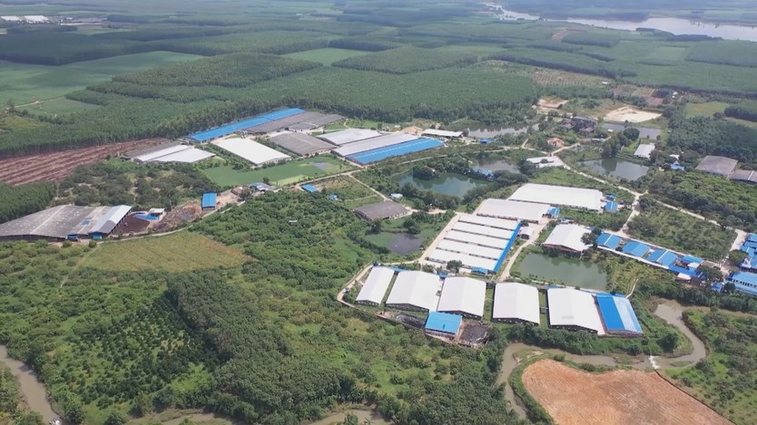 Kiểm soát mật độ chăn nuôi, hướng đến chăn nuôi bền vững - Ảnh 1.