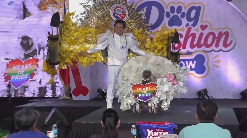 Show thời trang dành cho chó cưng tại Philippines - Ảnh 5.