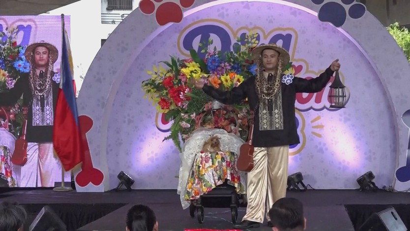 Show thời trang dành cho chó cưng tại Philippines - Ảnh 4.