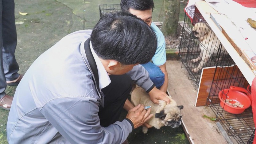 Chủ động phòng ngừa bệnh dại, nâng cao tỷ lệ tiêm phòng cho vật nuôi- Ảnh 4.