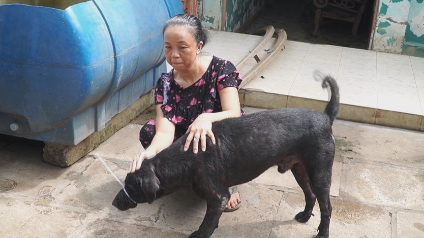 Chủ động phòng ngừa bệnh dại, nâng cao tỷ lệ tiêm phòng cho vật nuôi- Ảnh 5.
