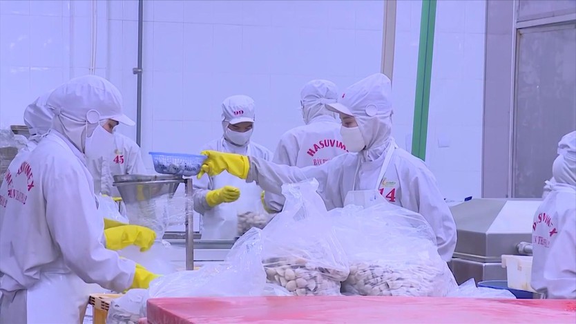 TP. Hồ Chí Minh: Tăng tốc xử lý hồ sơ xuất xứ hàng hóa cho doanh nghiệp xuất nhập khẩu- Ảnh 2.