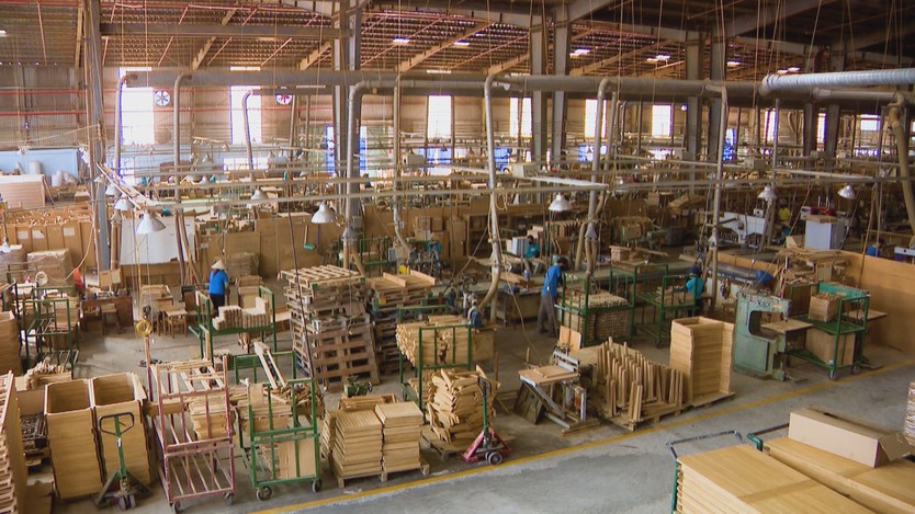 Ngành gỗ tăng tốc trước những tiêu chuẩn mới - Ảnh 3.