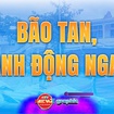 NewZgraphic: Những việc cần làm ngay sau mưa bão để đảm bảo an toàn và ổn định cuộc sống