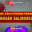 NewZgraphic: Ngộ độc do vi khuẩn Salmonella - Cảnh báo từ bữa ăn quen thuộc